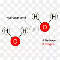 氢键分子水化学键氧泡图