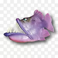 紫丁香紫鱼生物-紫鱼