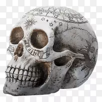 头骨树脂铸造骨架炼金术手绘头骨