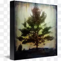 艾菲尔铁塔绘画树艺术混合媒体.抽象阴影