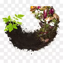 堆肥、可生物降解的废弃食品废物回收利用.蔬菜堆