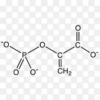 天冬酰胺氨基酸丙氨酸分子化学物质化学能