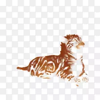 猫科狮子虎豹日落狮