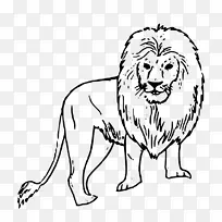 狮子黑白画片艺术-狮子插图