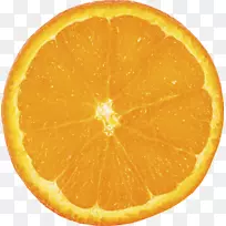 橙片水果-柠檬片免费下载