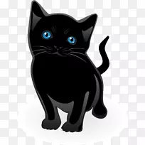 猫儿童剪贴画-猫载体