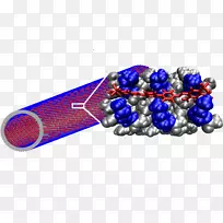 淀粉样β刚果红纤维化学结合