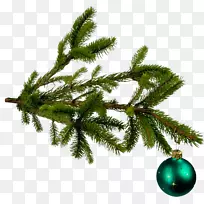 圣诞树新年剪贴画-圣诞树树枝免费图片扣
