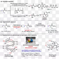 手性有机化学甲基分子-科学光敏效应