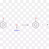 桦木还原亲核取代反应亲核芳香取代亲核取代芳族