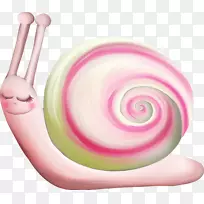 勃艮第蜗牛画螺旋形软体动物-蜗牛
