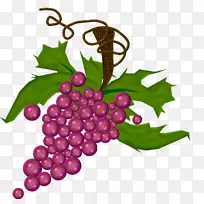 葡萄画-诱人的葡萄标志