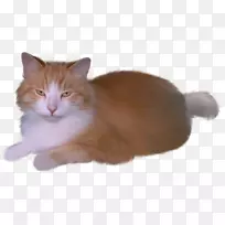 猫剪贴画-猫