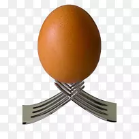 蛋鸡摄影-鸡蛋