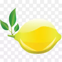 柠檬拉制水果关键酸橙-柠檬