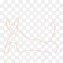 野兔猫画-猫