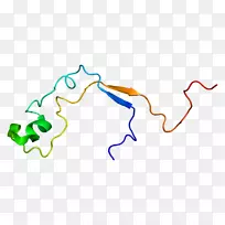 kmt2a MLL组蛋白甲基转移酶