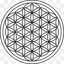神圣几何学重叠圆网格符号.符号