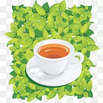 绿茶包附载体菊花茶