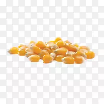 玉米芯上的爆米花玉米甜玉米-爆米花