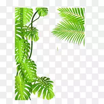 免费热带雨林绘画剪贴画-森林