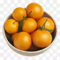 苦橙，橘子，桔子