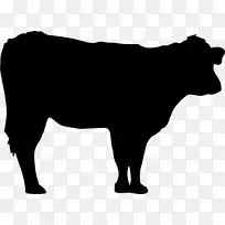 泽西牛、安格斯牛、黑牛、赫里福德牛