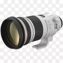 佳能EF 300 mm镜头佳能镜头安装佳能efs 60 mm f/2.8宏USM镜头超声波马达相机镜头照相机镜头