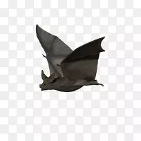 蝙蝠绘图-蝙蝠