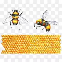 蜜蜂昆虫蜂科剪贴画昆虫