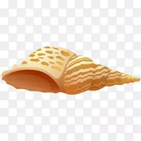 贝壳冰淇淋锥夹艺术-贝壳