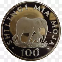 大象硬币银币货币-大象