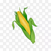 玉米上的玉米蔬菜甜玉米剪贴画-蔬菜