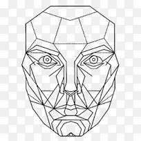 黄金比例数学脸-数学