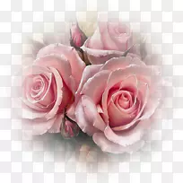玫瑰花粉红色花纹钻石镶嵌花