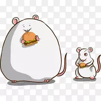 OB/ob小鼠瘦素计算机小鼠肥胖-小鼠