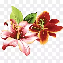 百合花彩色剪贴画-花