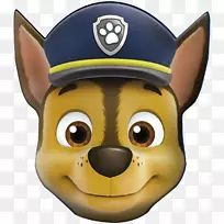 狗追逐银行爪子巡逻犬拯救一只金龟子/小狗拯救爪子巡逻狗