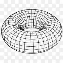 宇宙球体的环面形状