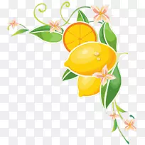柠檬汁剪辑艺术-芒果剪贴画