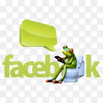 社交媒体广告facebook博客付费点击-社交媒体