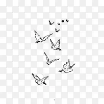 飞鸟画鸟群剪贴画-简单鸟