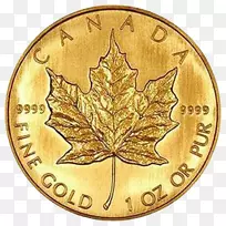 加拿大金枫叶金币金条