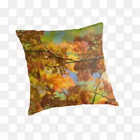 抛枕头垫棕色-秋季颜色