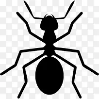 蚁群昆虫节肢动物剪贴画昆虫