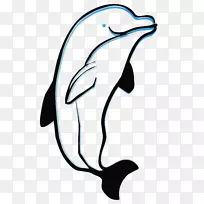 海豚绘画摄影.海豚
