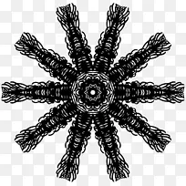柯迪剪贴画