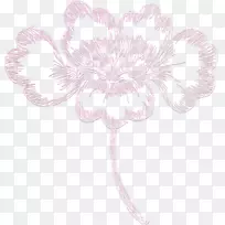 花卉设计绘画视觉艺术-花卉