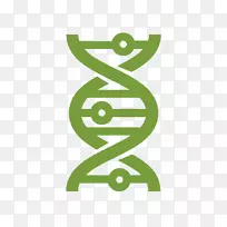 流动计算机图标dna科学生物学.dna