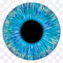 眼虹膜瞳孔计量学